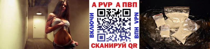 хочу   Курчалой  Альфа ПВП СК КРИС 