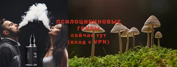 ALPHA PVP Надым