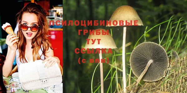 мдпв Ахтубинск