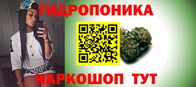 бошки Заволжье