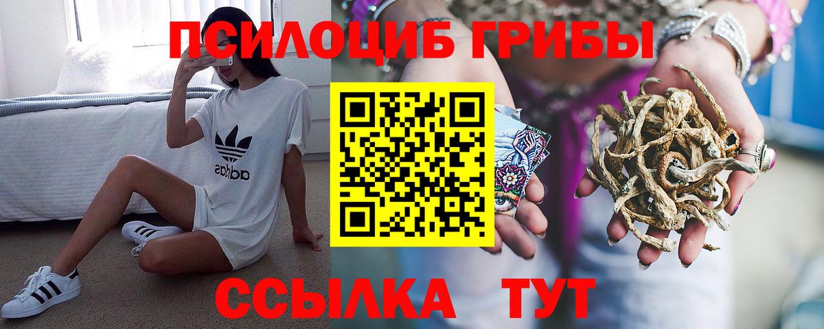 Псилоцибиновые грибы Psilocybine cubensis Курчалой